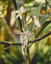 Load image into Gallery viewer, ORQUÍDEA
